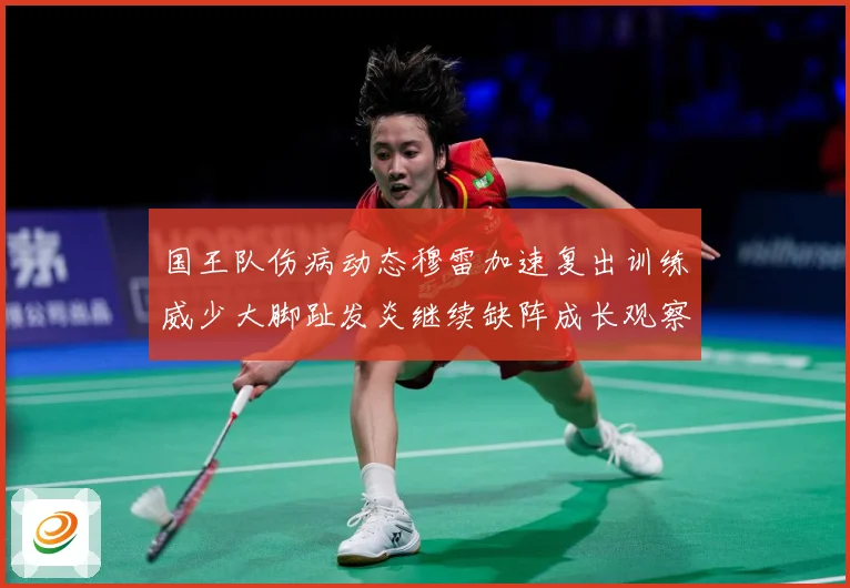 国王队伤病动态穆雷加速复出训练威少大脚趾发炎继续缺阵成长观察：最新赛事动态与深度分析